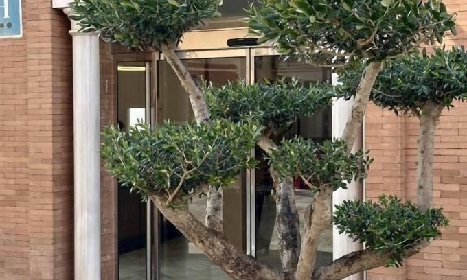 Merida Old Town Hotel | Hotel Nova Roma