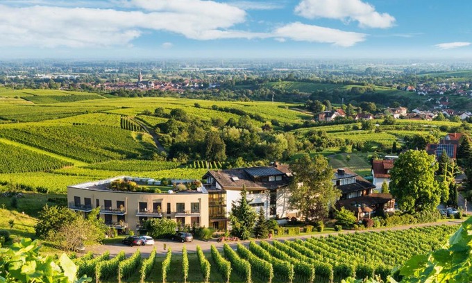 Steinbach Hotel | Hotel Rebenhof