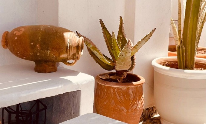 Essaouira Coast House | Hotel Riad California