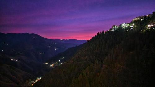 Shimla House | Hotel Royal Cedar Simla