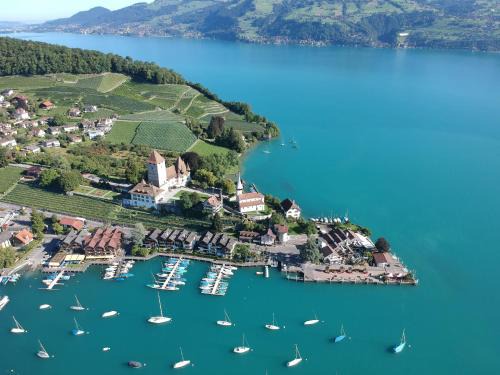 Spiez Hotel | Hotel Seaside