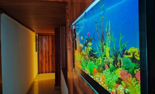 New Panvel East Hotel | Hotel Shiva