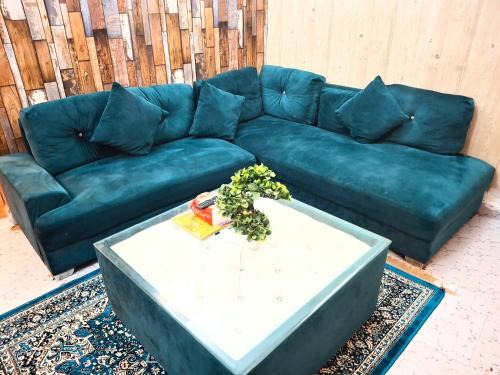 Hauz Khas Apartment | Hotel Star Blueberry's 2