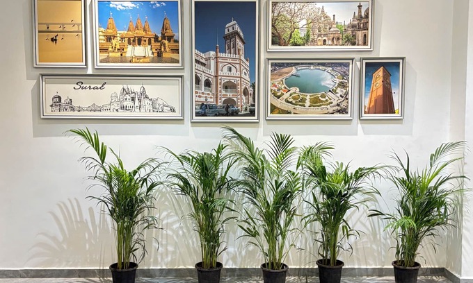 Surat Hotel | Hotel the octave