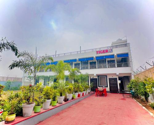 Alwar Hotel | Hotel Tiger View