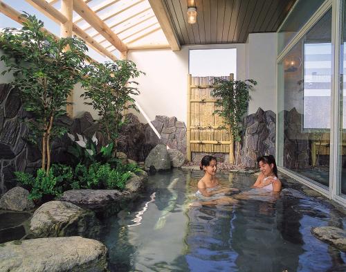 Yuzawa-machi Hotel | Hotel Yuzawa Yuzawa Denkiya