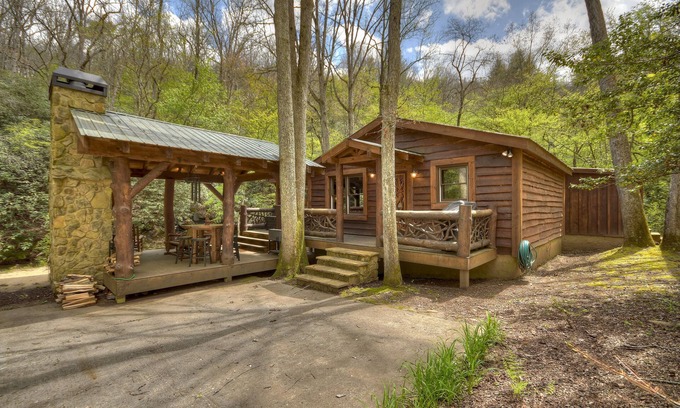 Mineral Bluff House | Hothouse Hideaway - Mineral Bluff