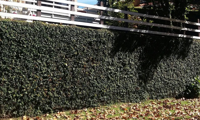 Vila Telma House | House a neighborhood before downtown Capivari !!!