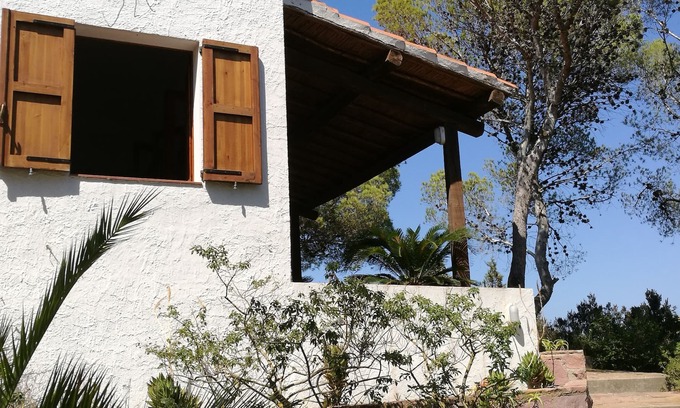 Carloforte House | House immersed in the pine forest