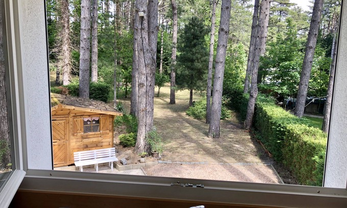 Quend House | House in the pine forest