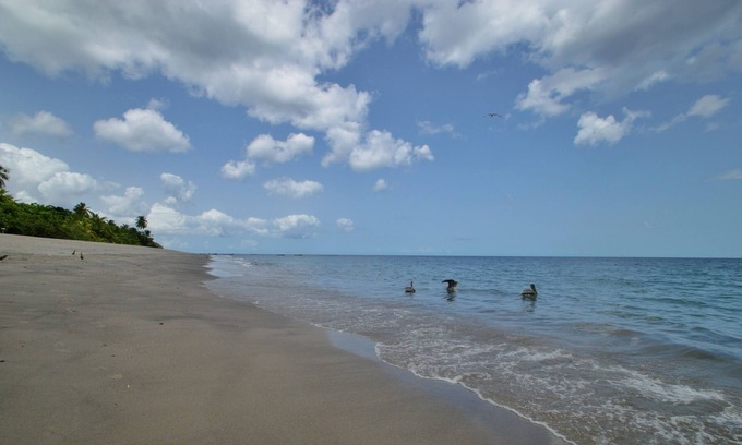 Le Carbet House | House on the beach of Carbet