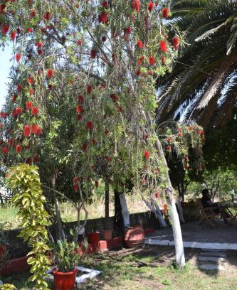 Toroni Apartment | House Souzanna