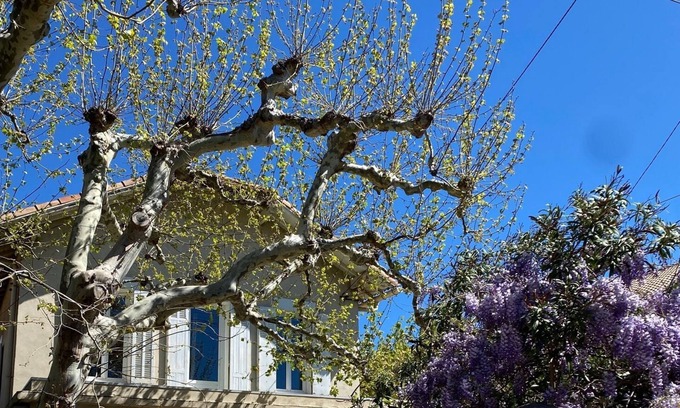 8th Arrondissement House | House with garden Marseille Pointe Rouge near beaches