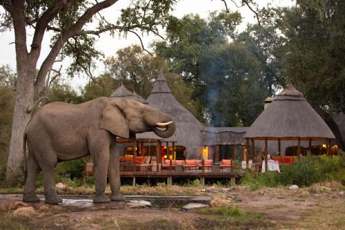 Kruger National Park Cabin | Hoyo Hoyo Safari Lodge