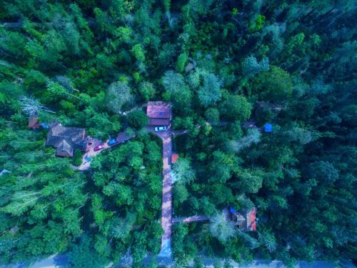 Somvarpet Resort | Humble Nest Coorg