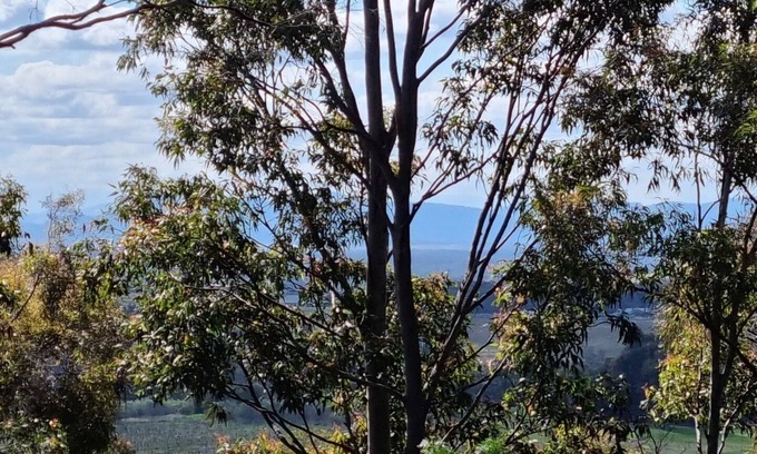Pokolbin Villa | Hunter Valley conveniently located- 2 bedroom and 2 bathroom 2 story villa