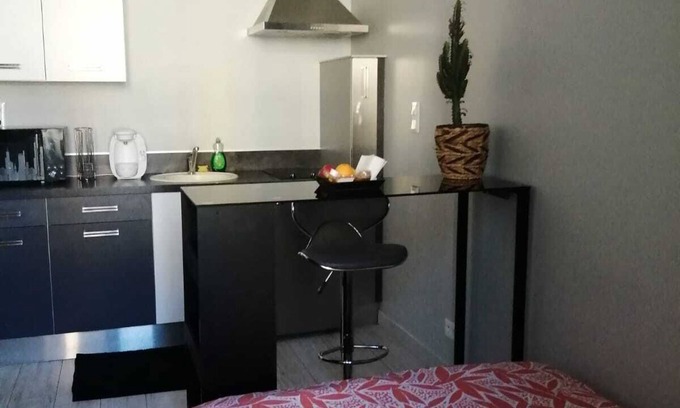Centre Ville Apartment | Hyper downtown studio