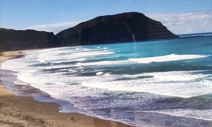 Wainui Bed & Breakfast | Iconic Wainui Beach a 100m stroll. Relax in Tropical type surroundings.