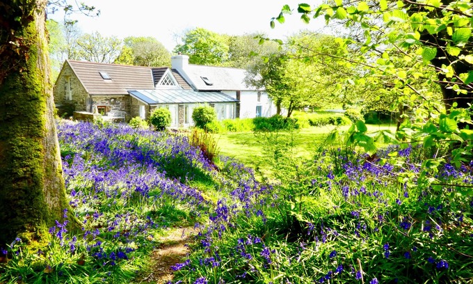 Skibbereen Other | Idyllic West Cork cottage farmhouse in 3 acres, with woods and river, Skibbereen