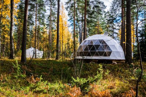 Imatra Other | Igloo Glamping LakeLand Camp