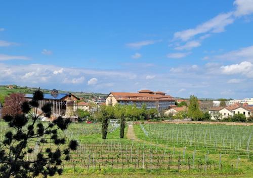 Bad Duerkheim Apartment | Ihr Bett mit Blick auf die Weinberge