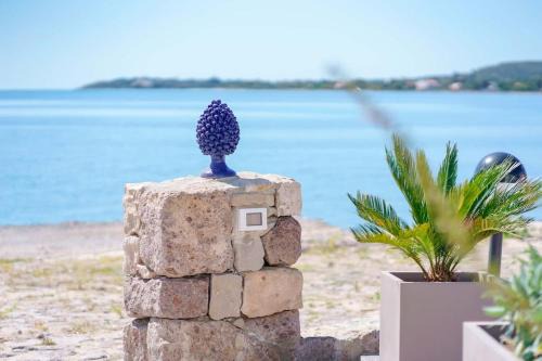 Carloforte Apartment | Il Delfino Guest House