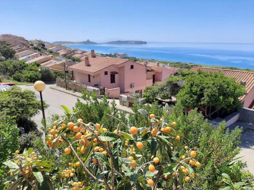 Funtana Meiga Apartment | Il giglio vista mare
