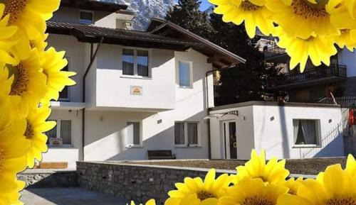 Saint-Vincent House | Il Girasole