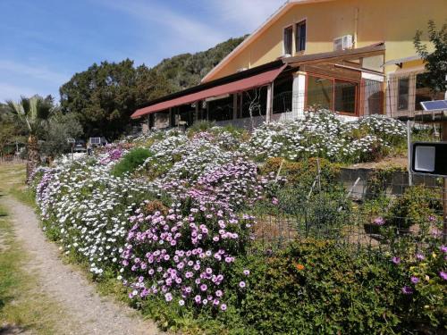 Sant'Antioco House | Il Lentischio