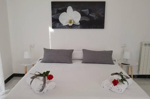 La Spezia Historic Centre Apartment | IL NIDO DELLA ZIA