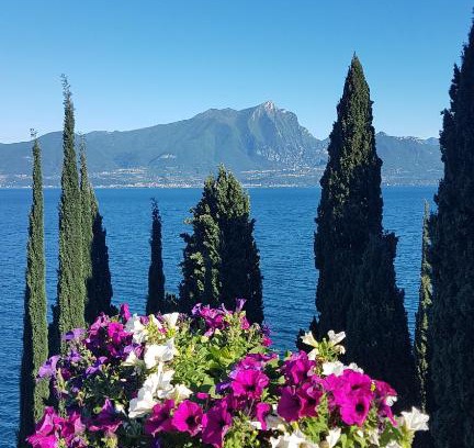 Torri del Benaco Apartment | Il Paradiso Apartments Great View Gardasee
