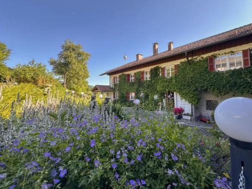 Grafenried Apartment | Im Zellertal