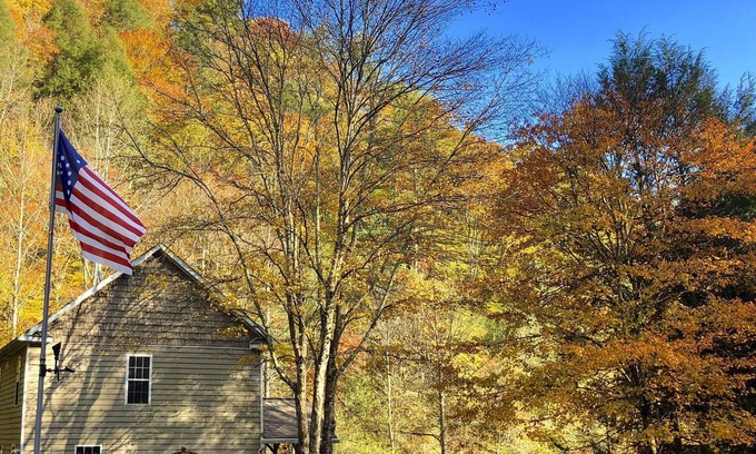 Deep Gap Cabin | Immaculate Home On Pristine Stocked Trout Stream