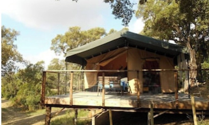 Pinarellu Cabin | Immortal Lodges