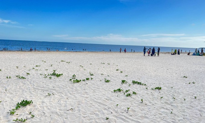 Shanzu Apartment | Impeccable 3-Bed Apartment in Mombasa