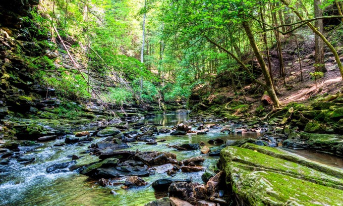 Monteagle House | In The Pines -Bluff View in Monteagle!