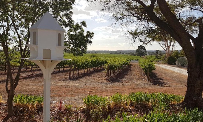 Penrice Apartment | 'In The Vines' Guest Cottage, Barossa Valley