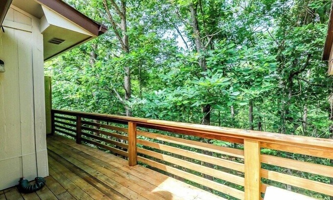 Hot Springs Village House | Inviting, Quiet, and Telegenic Home