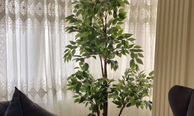 Fındıkzade Apartment | Istanabul Glorious House ( Double room)