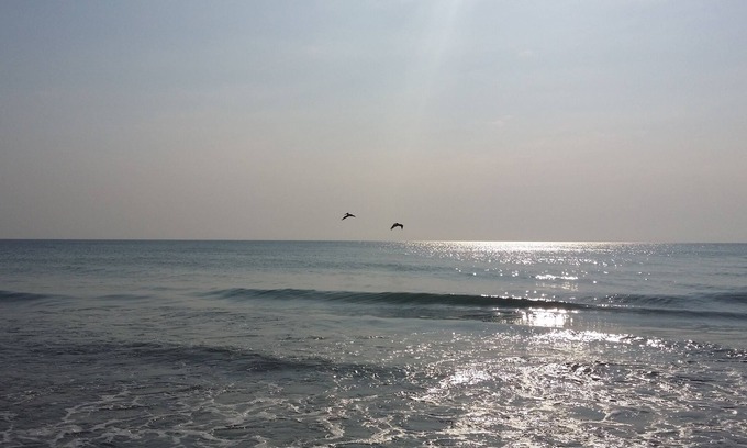 Hutchinson Island South Condo | IT'S 5 O'CLOCK SOMEWHERE AT ISLAND BEACH RESORT- REST/TIKI BAR! NO CLEANING FEE!