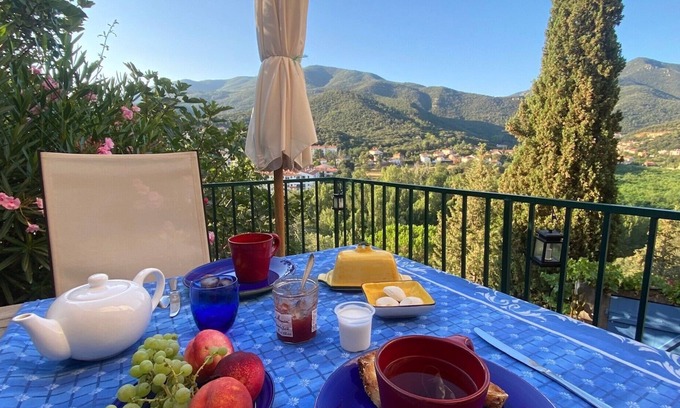 Amelie-les-Bains-Palalda House | it's a blue house, clinging to the hillside in the charming village of Palalda