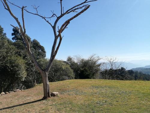 Botha's Hill Apartment | Ivy on Main Valley of 1000 hills