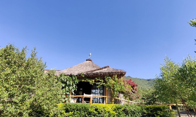Mara North Conservancy Other | Jacaranda Bush Camp