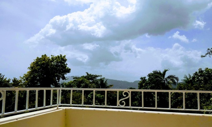 Jack's Hill House | Jacks Hill Tropical Arcadia