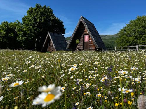 Poscenje Other | Jatak Cabins and Camping