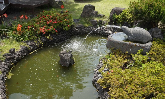 Jocheon House | Jeju Feel House
