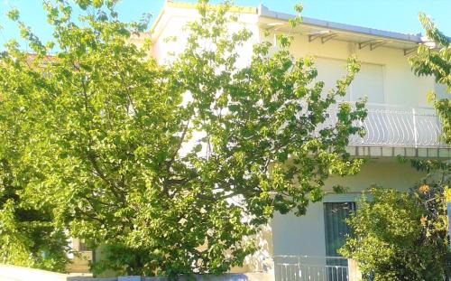 Kastel Stafilic Apartment | Jere Apartment