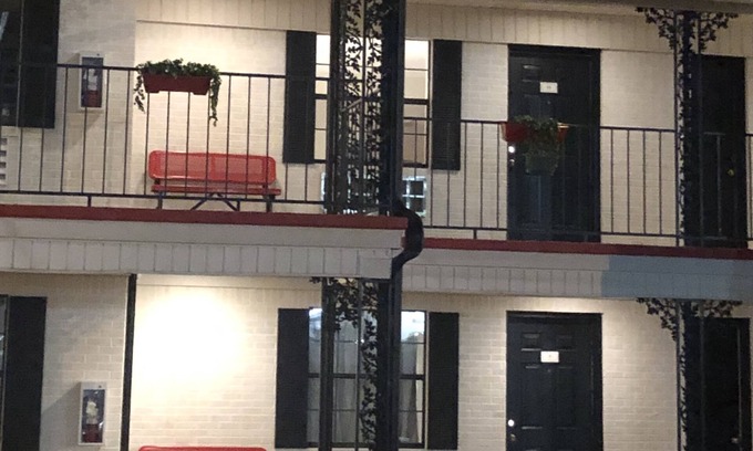Stamps Hotel | Jet Motor Lodge