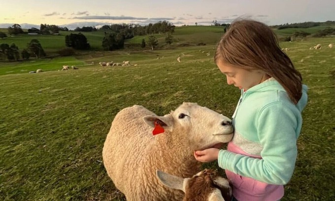 Buln Buln Other | Jilly Park Farm Experience - Discover Rustic Charm and Tranquil Farm Life in West Gippsland Inc Breakfast