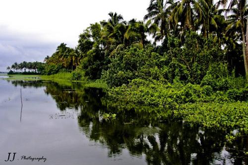 Thrissur House | JJ's Holiday Home